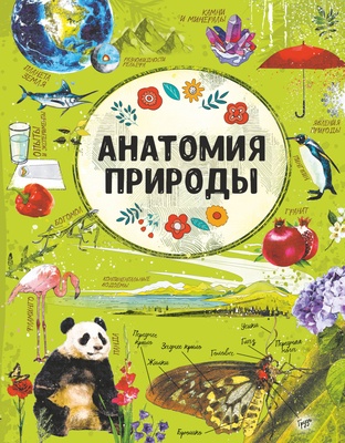 Анатомия природы. Вайткене Л.Д., Хомич Е.О., Аниашвили К.С. и др.